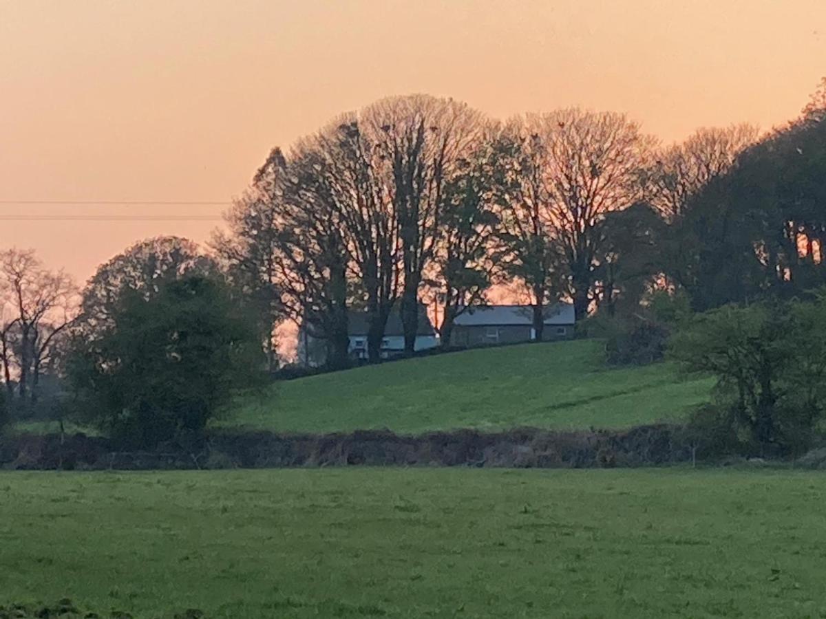 The Cottage Cork Luaran gambar