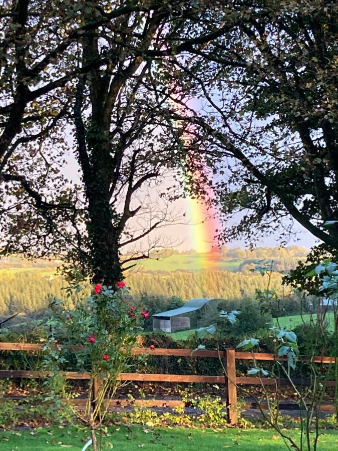 The Cottage Cork Luaran gambar